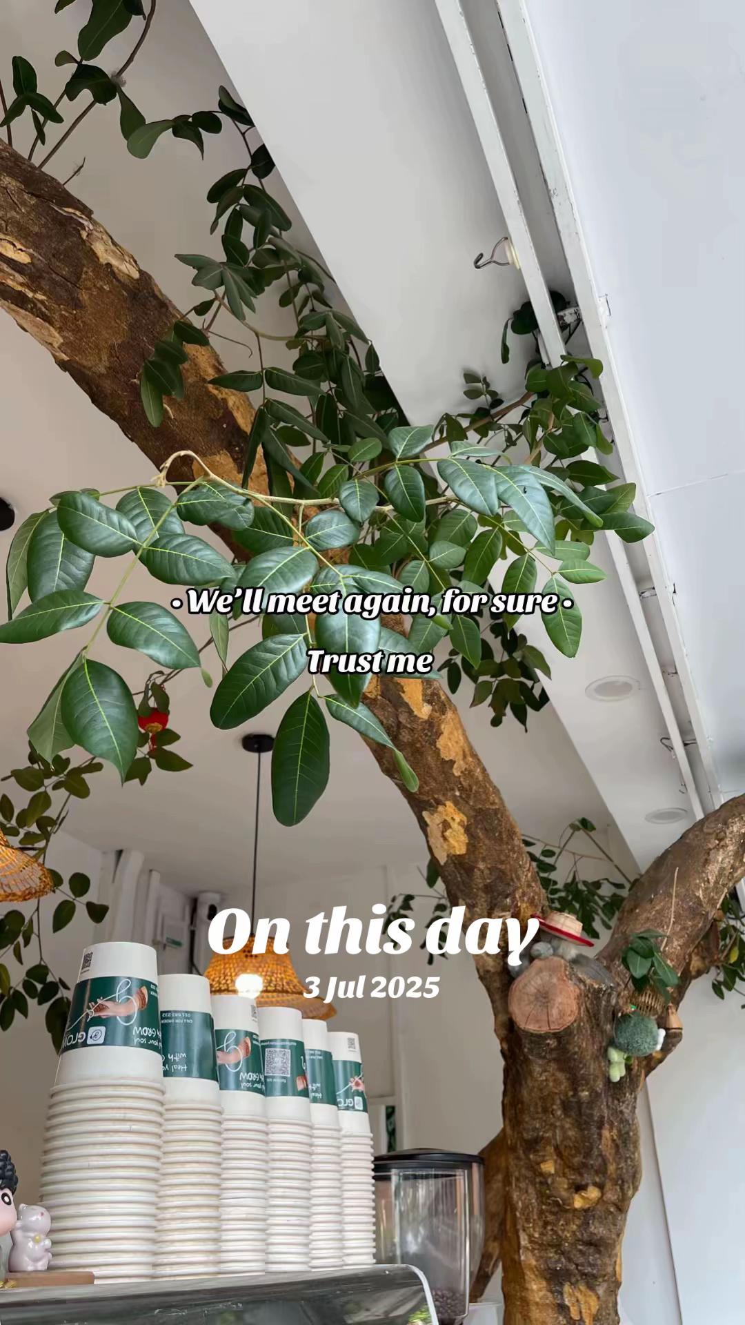 @grow.coffee.bkk1.branch