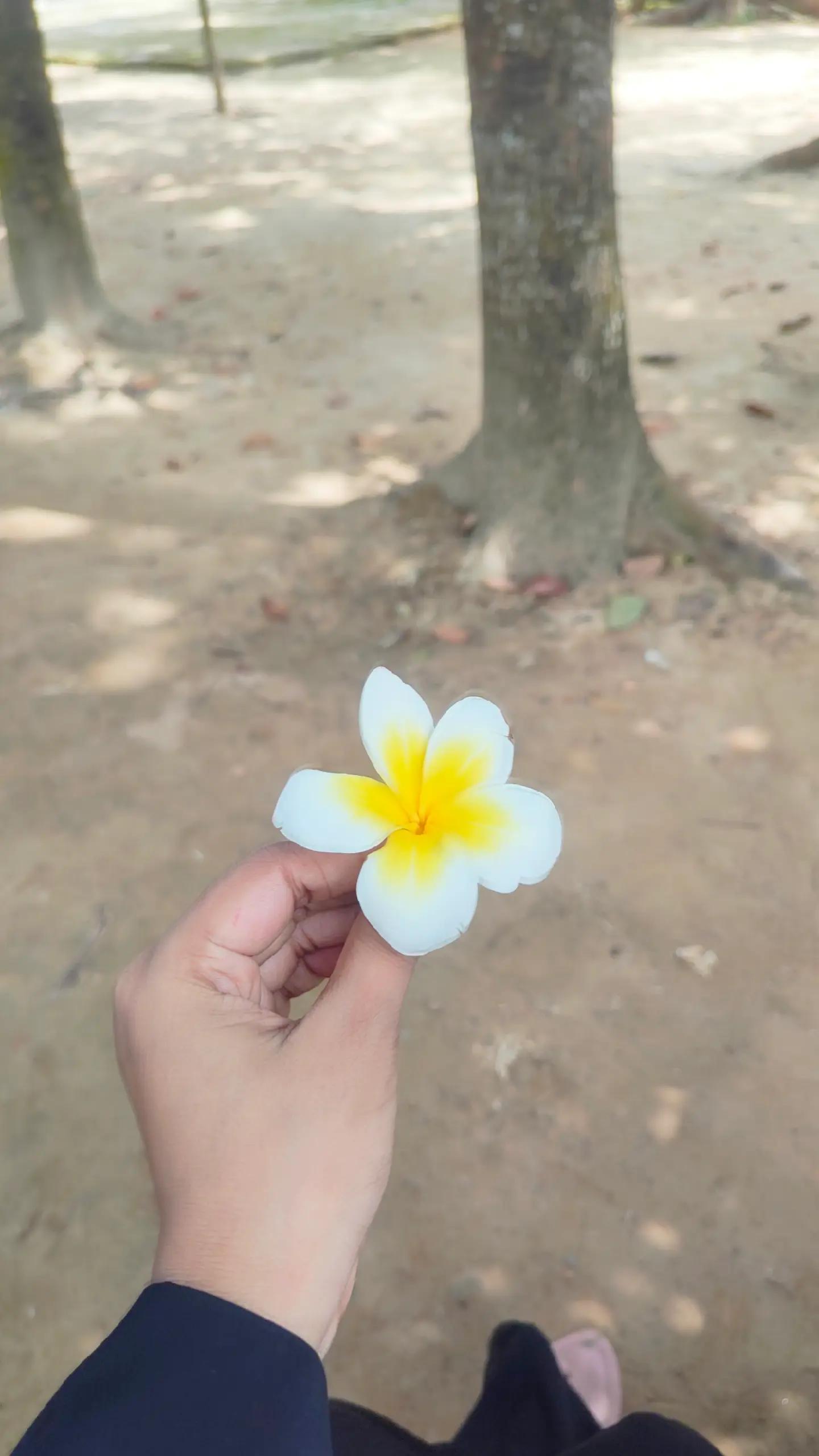 @🌸🌸Jhumu🌸🌸