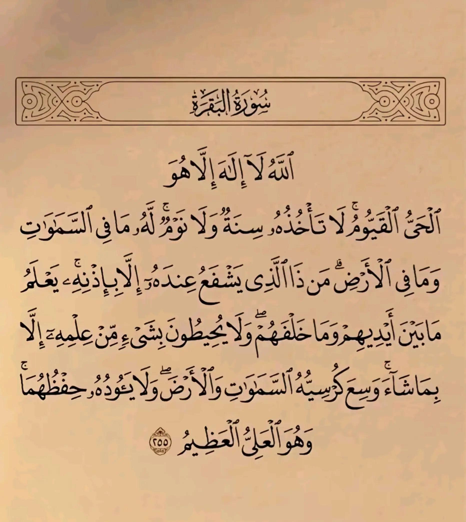 @حاجه تشرفك ان Hamoيعرفك😉