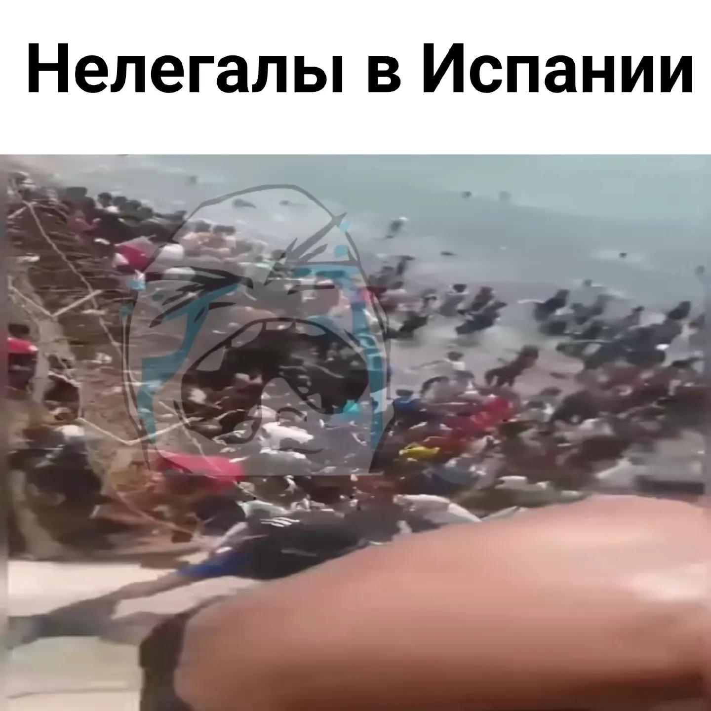 @гнилые крабовые чипсы🦀