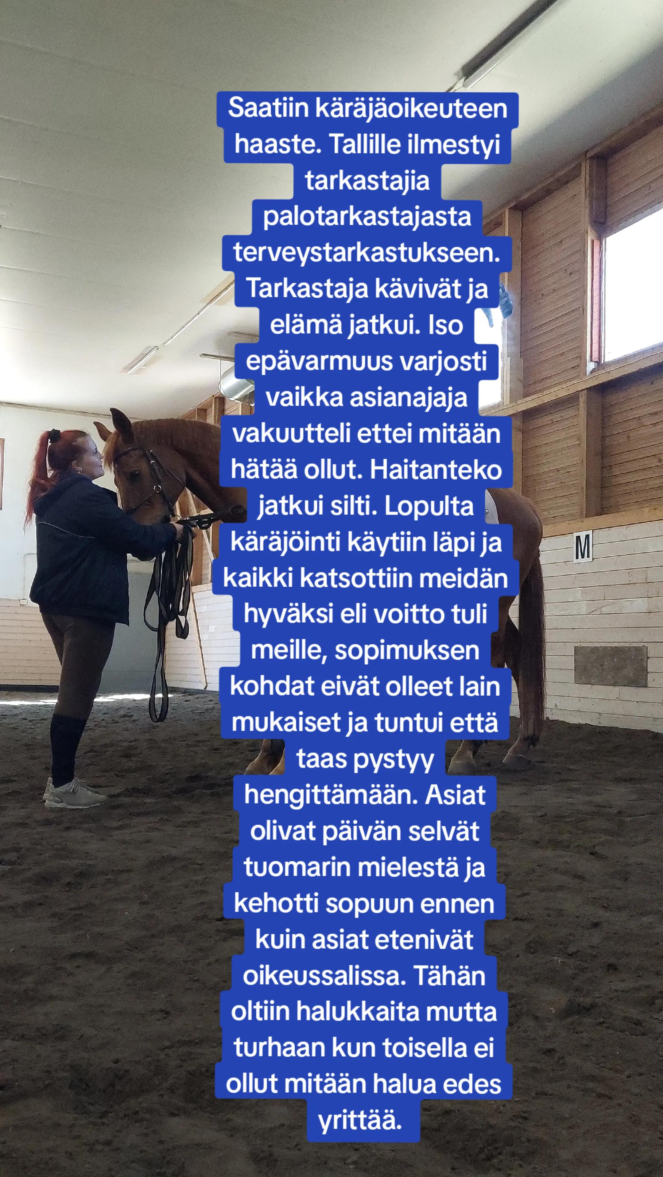 @Beach Horse Stable