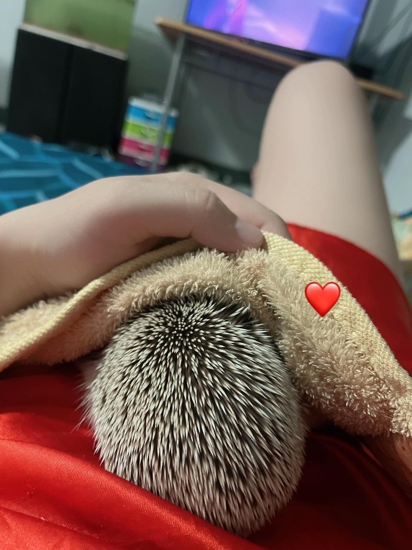@❤️เป็ปเปอร์หมูจู๊ด❤️