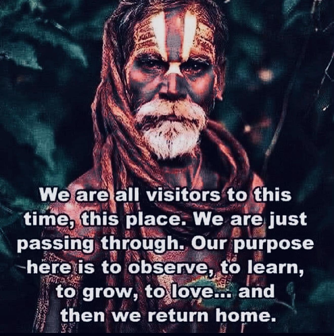 @wisdomforLIVINGhumans
