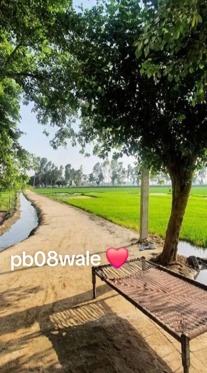 @Nijjar_PB08❤️