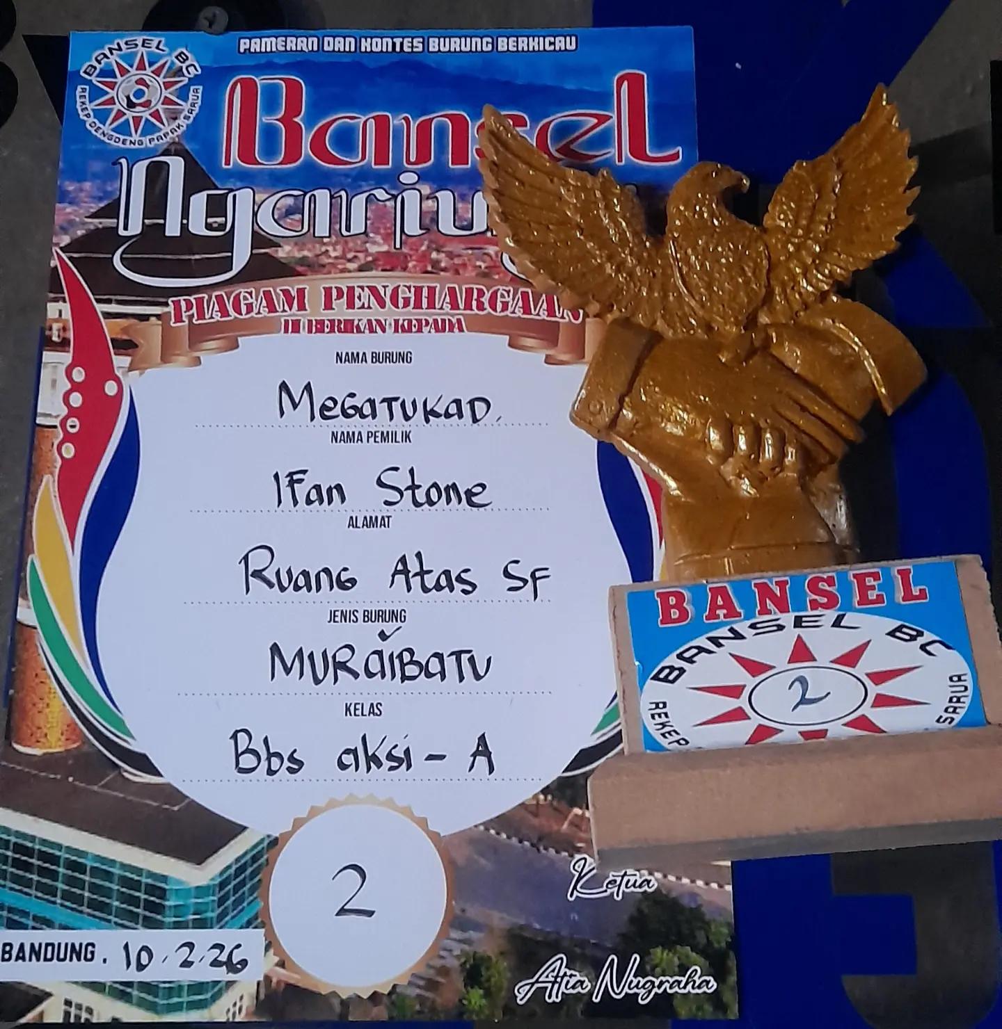 @IFAN STONE