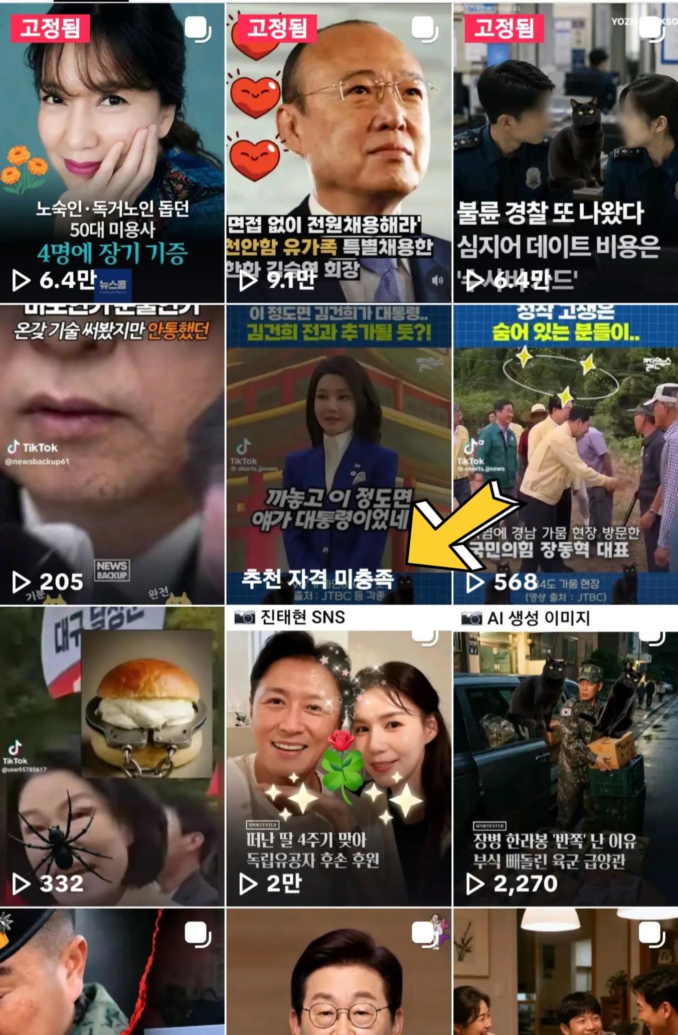 @🌺시라소니[본]🌺