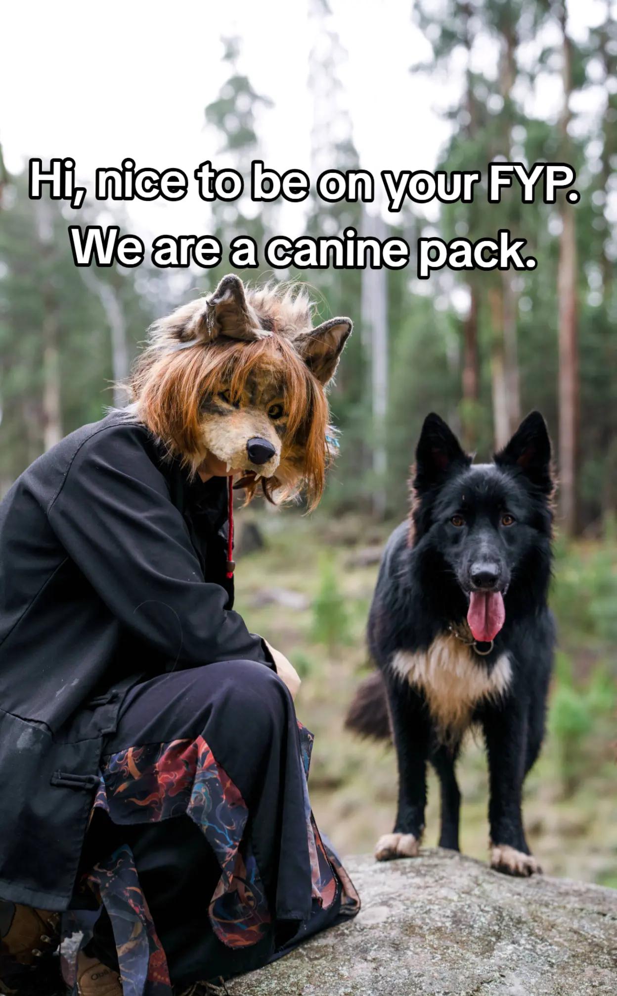 @Aspen is a wolf
