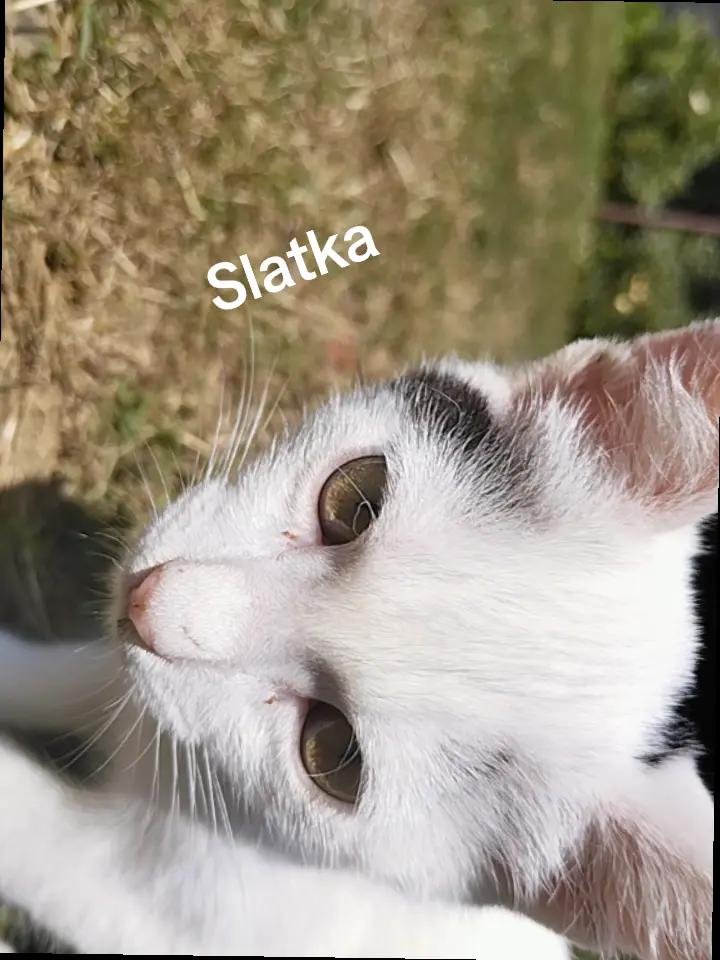 @Никола19