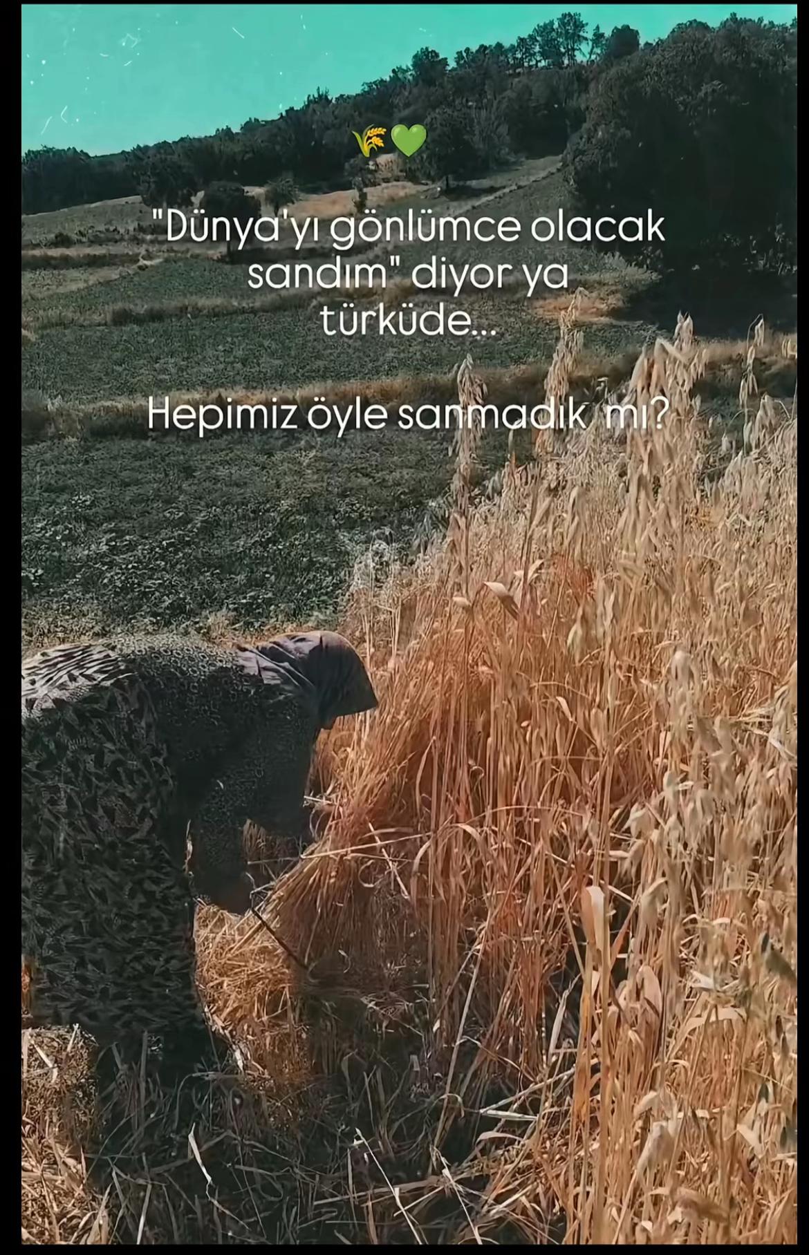 @❄️ Kar Tanesi ❄️