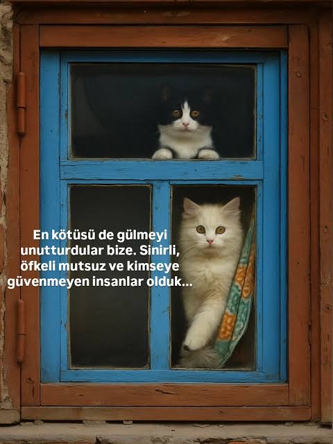 @kamuran8101