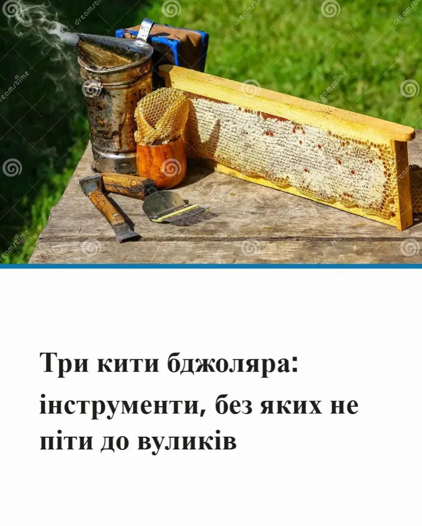 @Аля🐝