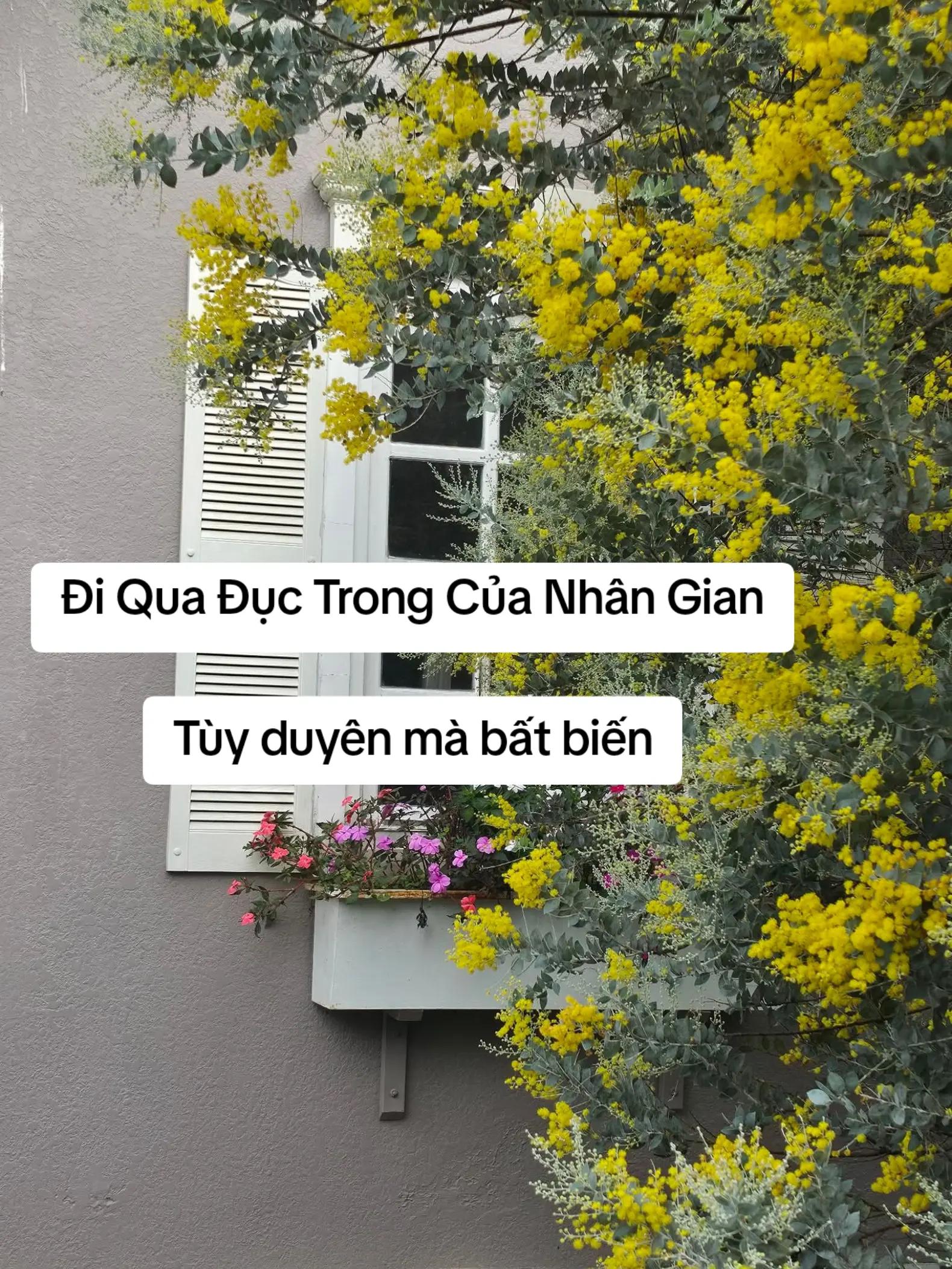@Hồng Nguyệt