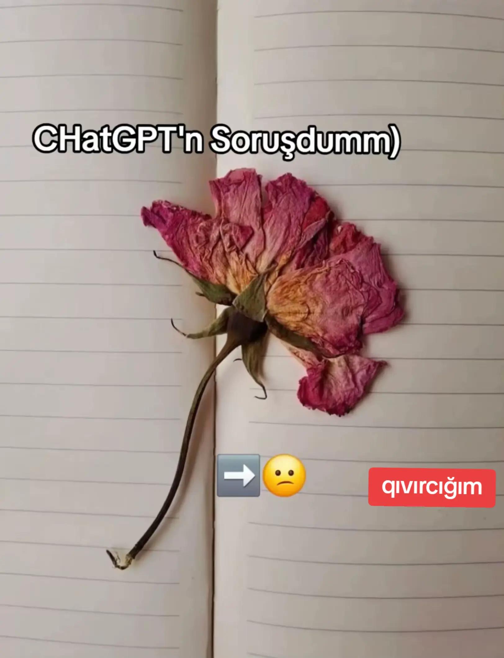 @👑 QıVıRCıĞım 👑