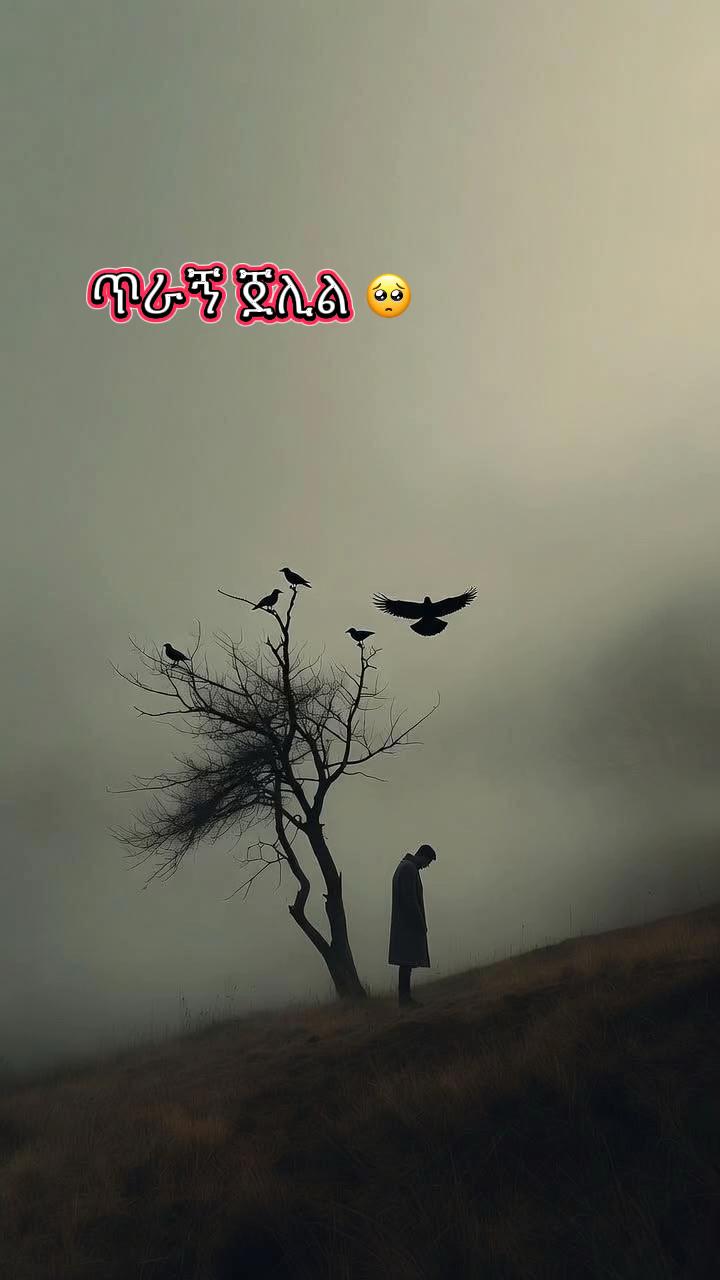 @fufunew1