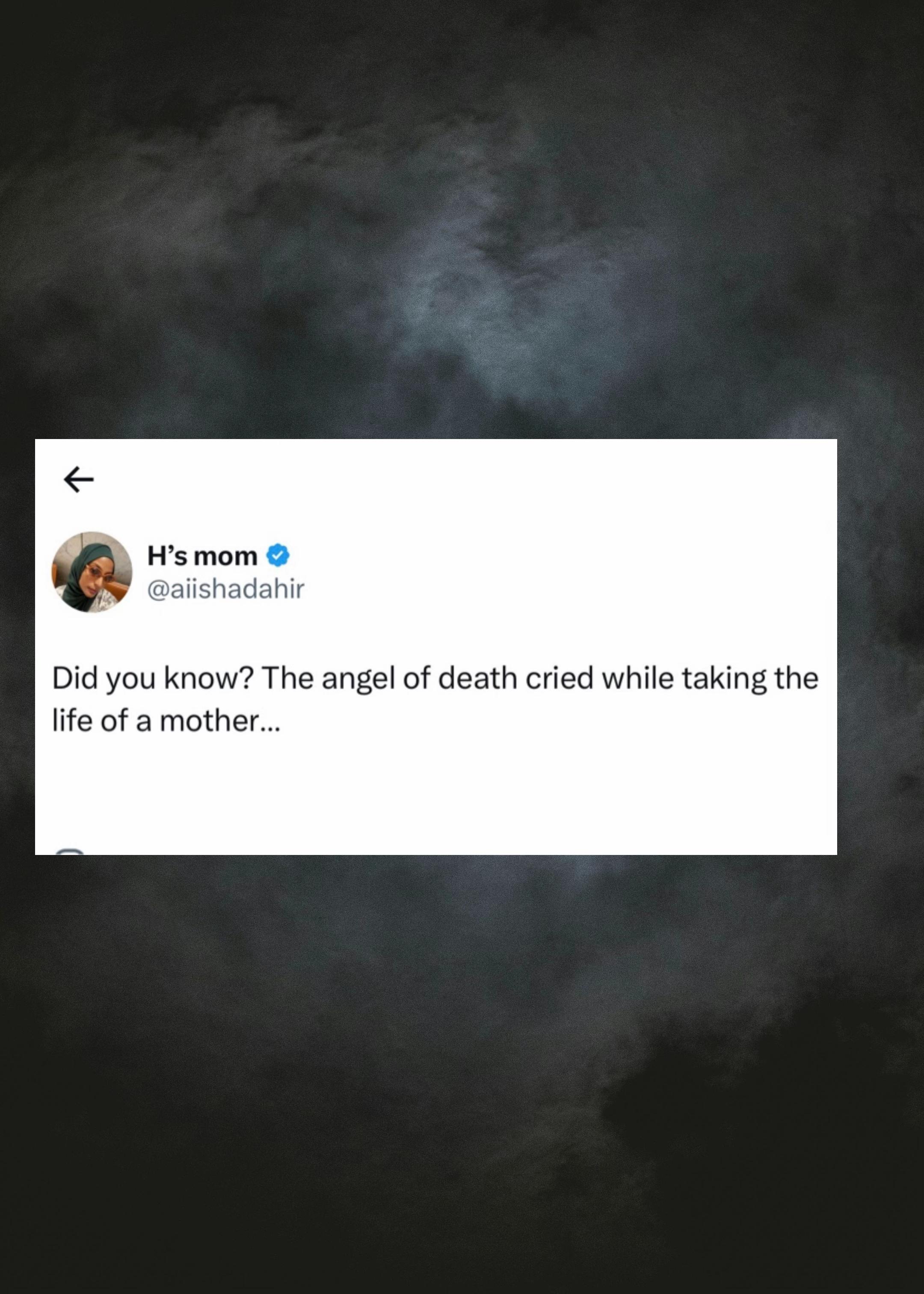 @Aisha Dahir