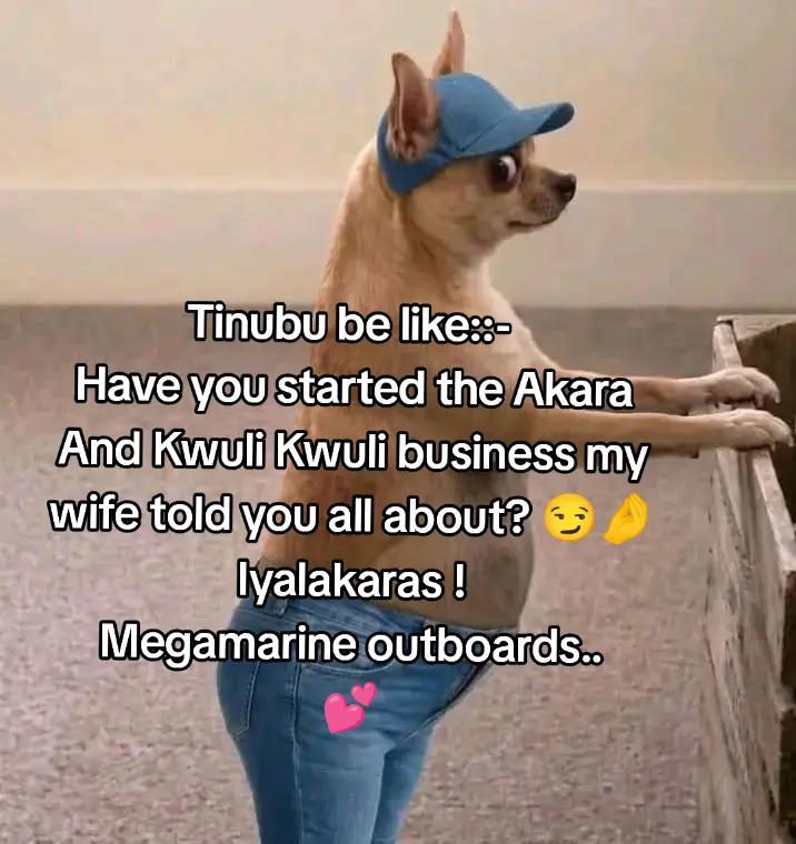 @MEGA MARINE