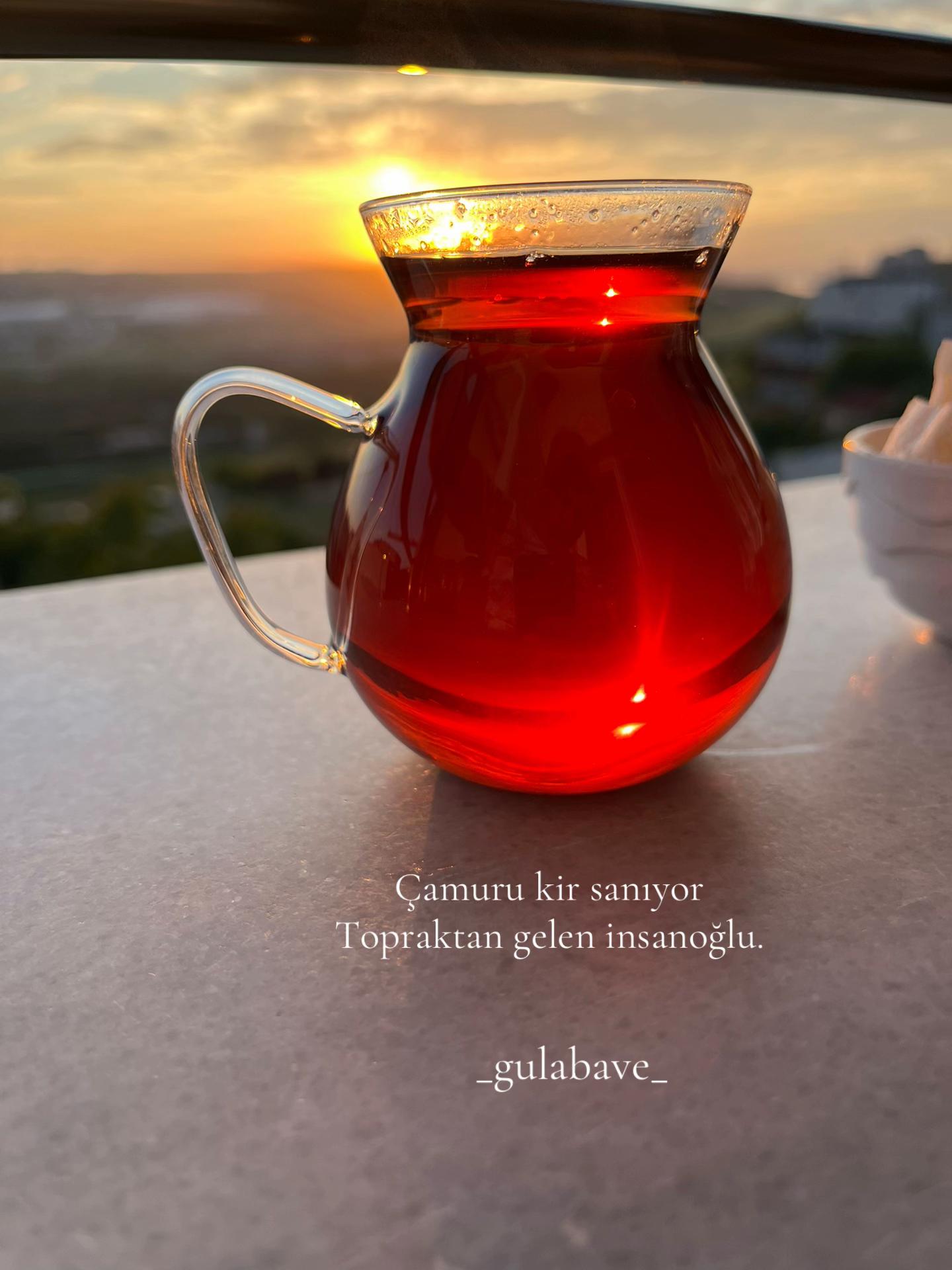 @gulabavi