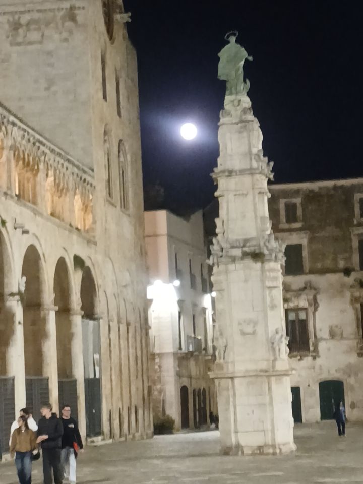 @luigifasciano780