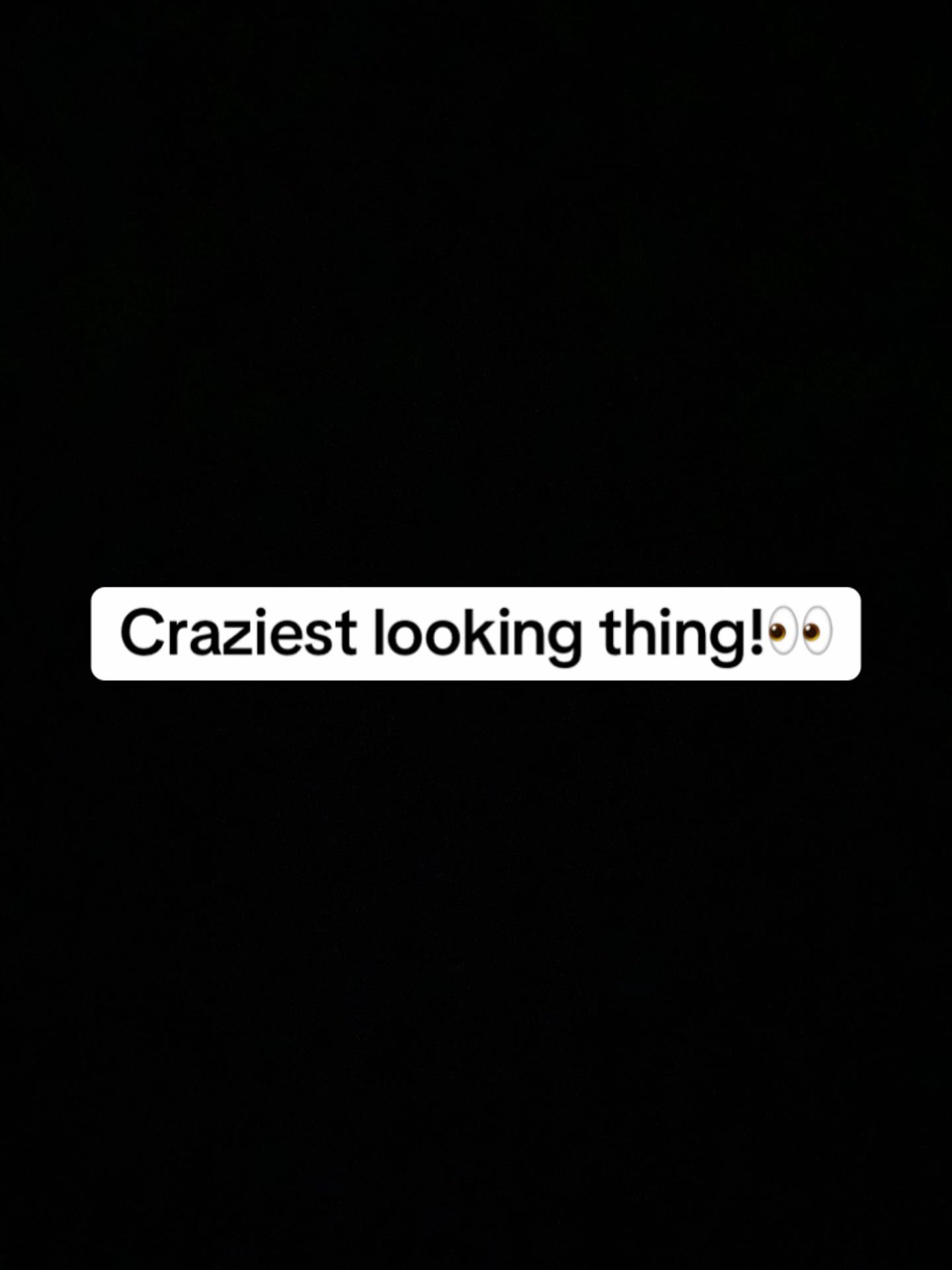 @wengallbii_bm