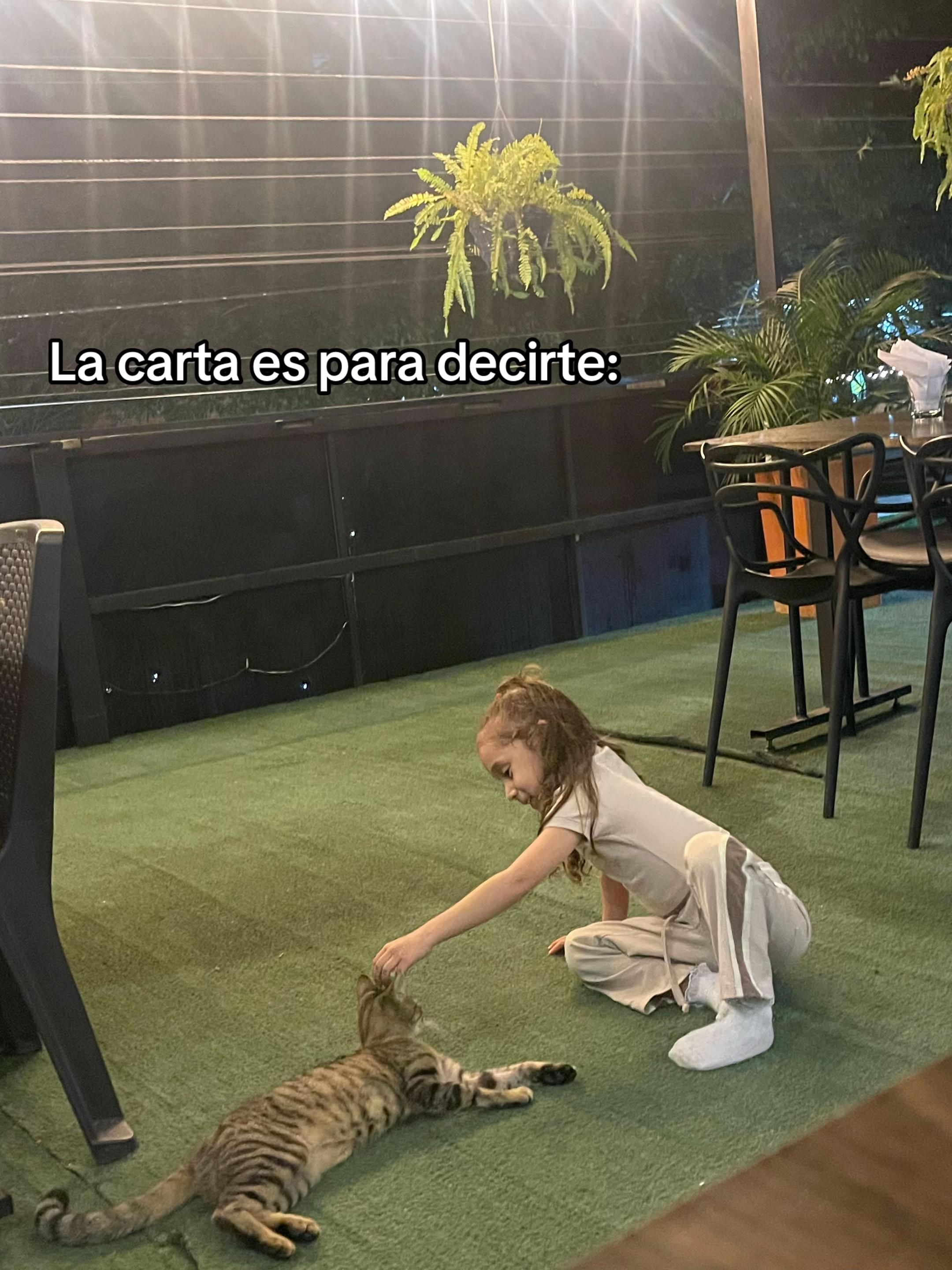 @Usuario no encontrado