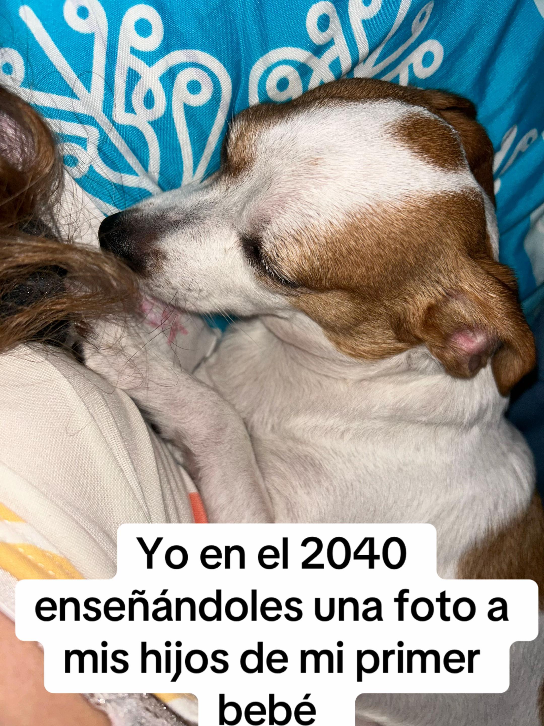 @Mariafit♏️