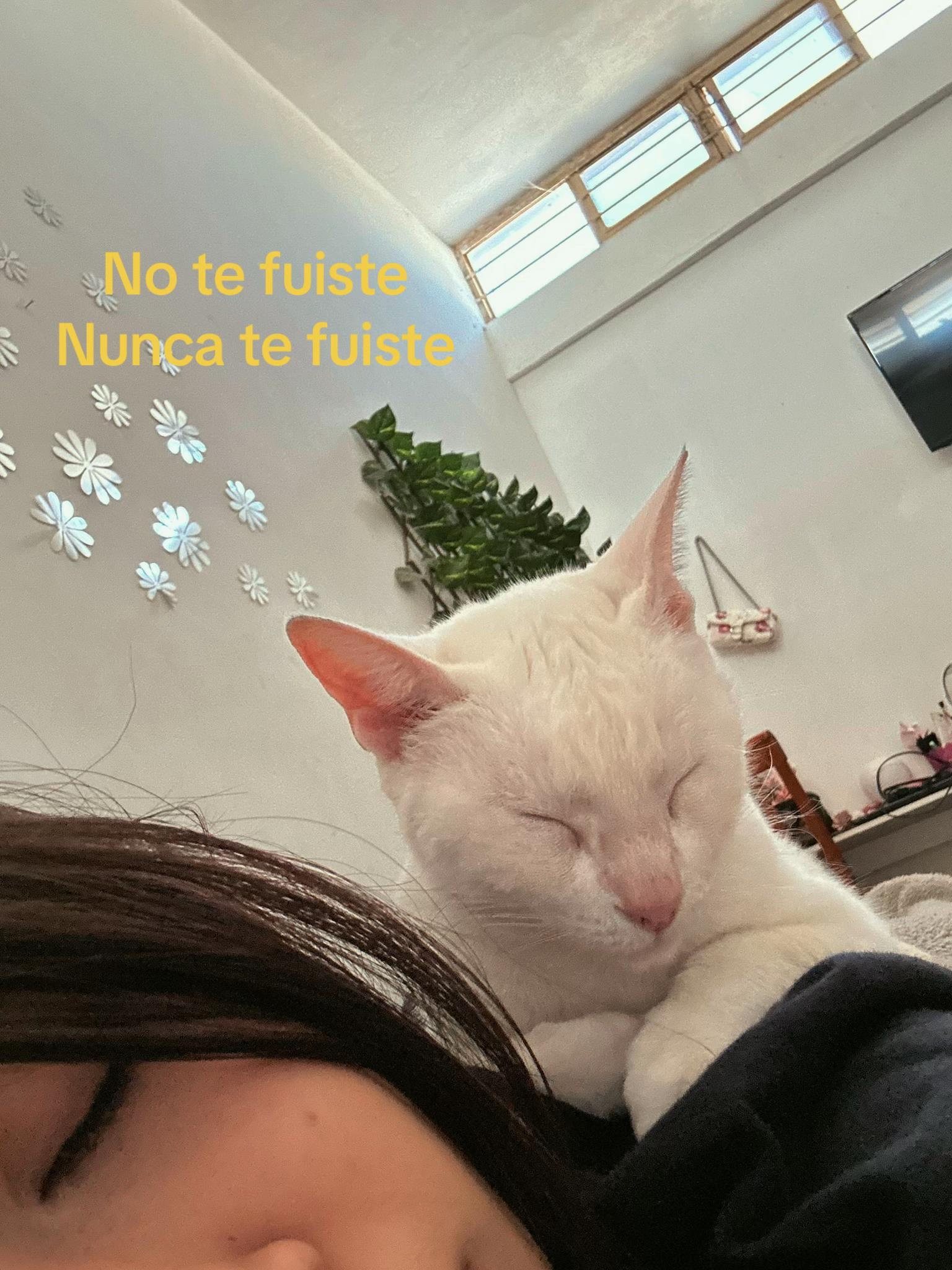 @Perlita🫧