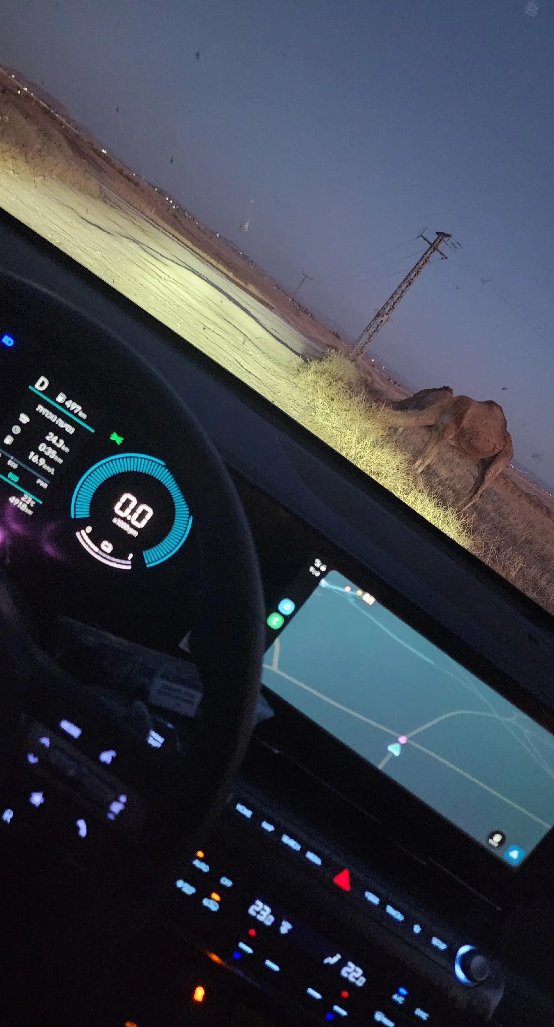 @عمر الاعسم