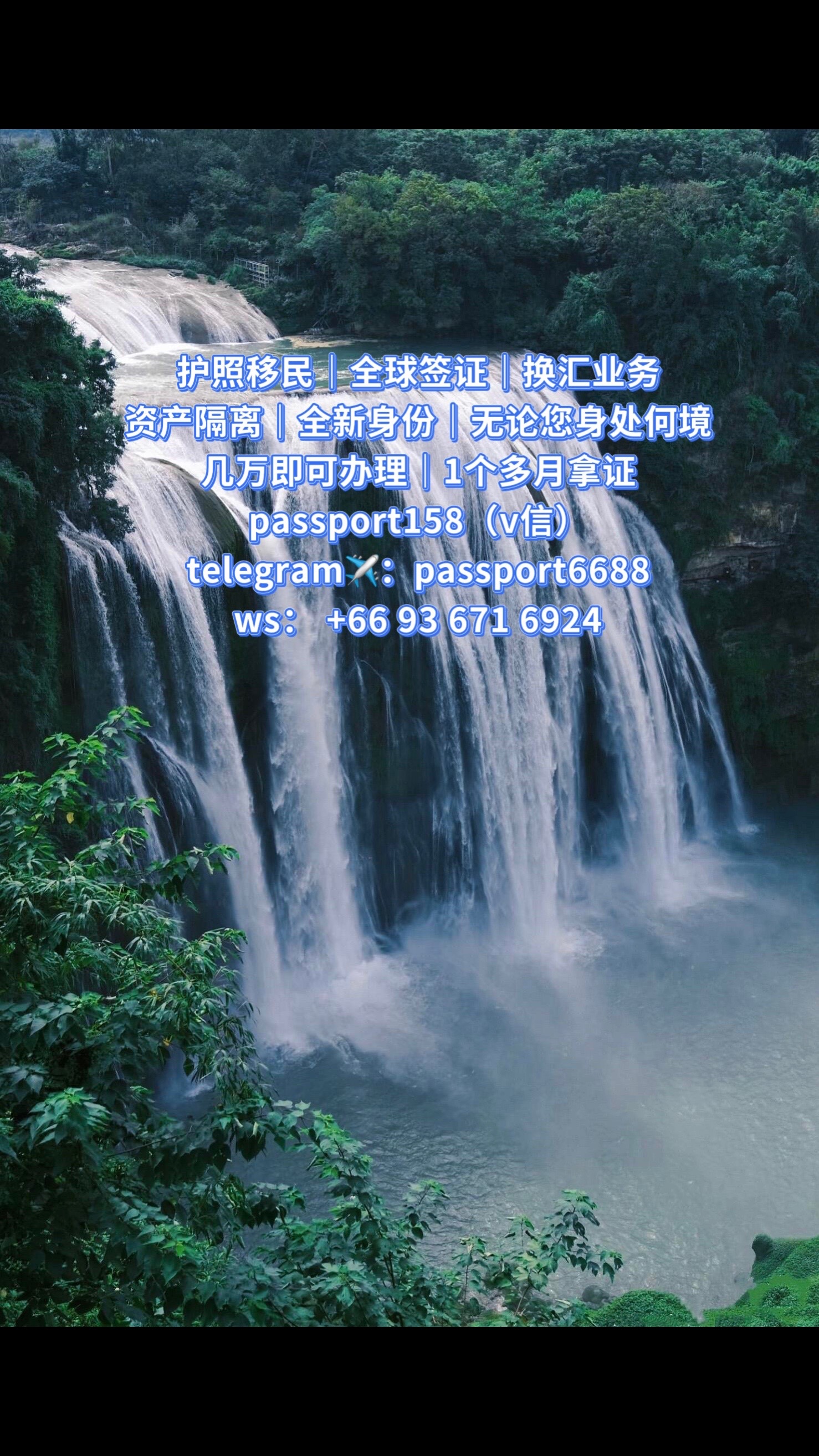 @护照身份办理-刘老师