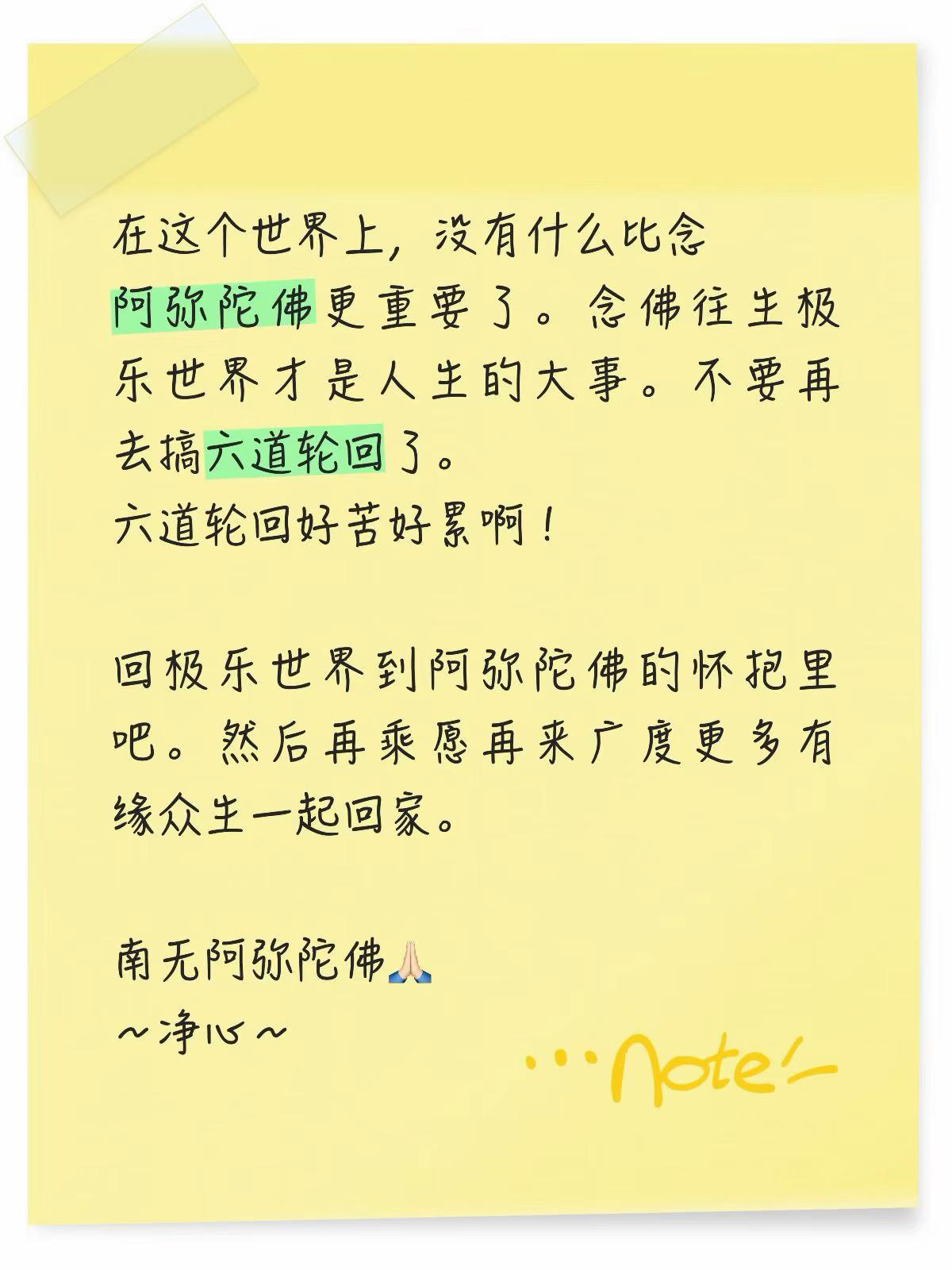 @净心