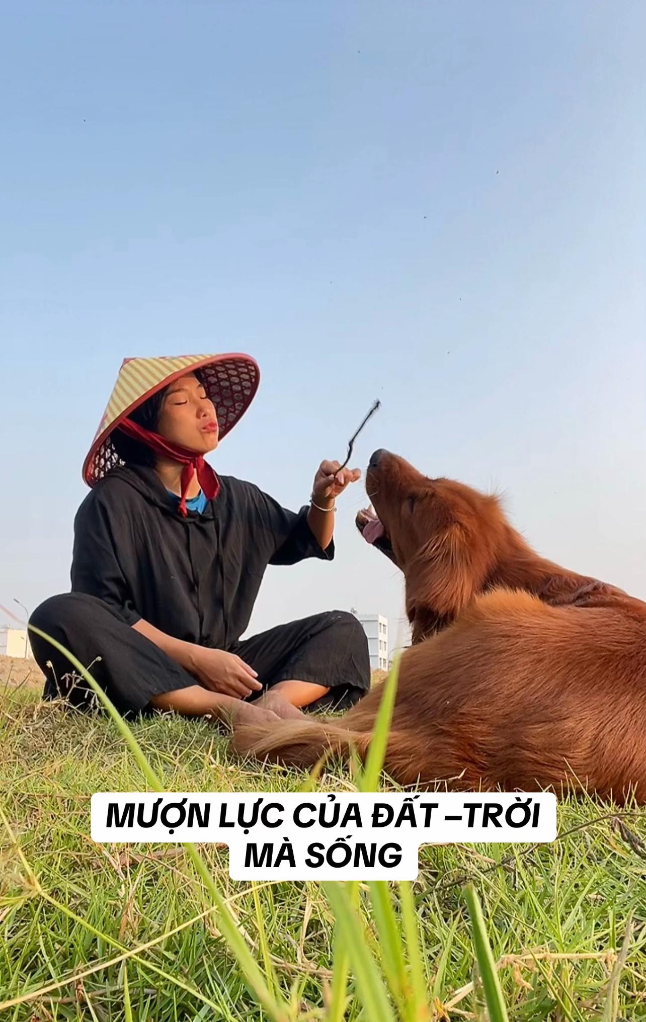 @buihoangbichtho