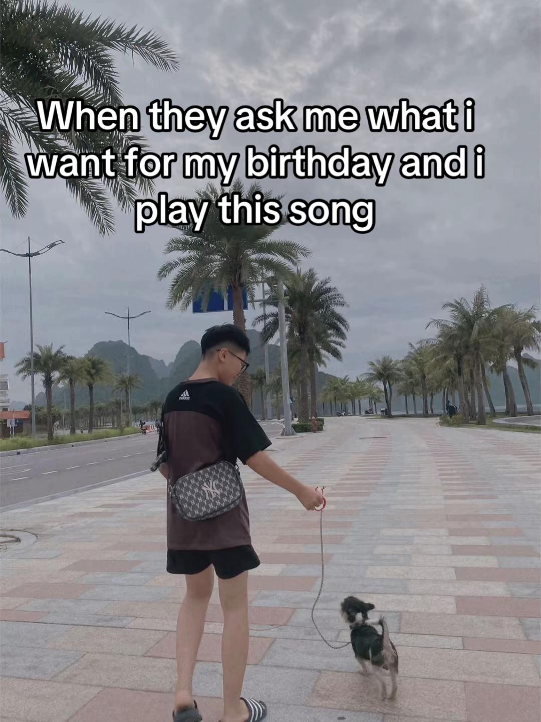 @chập ic209