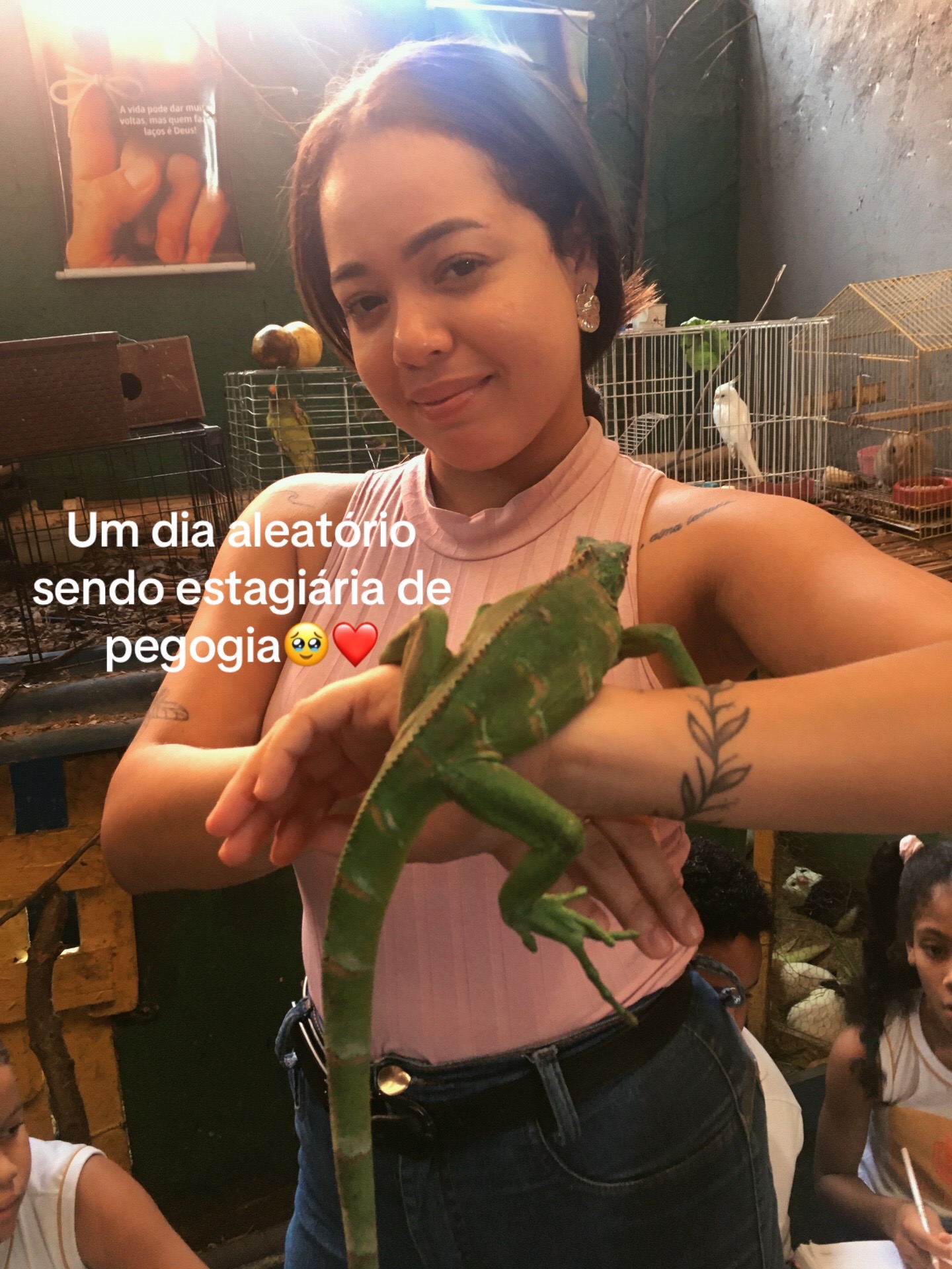 @rai
