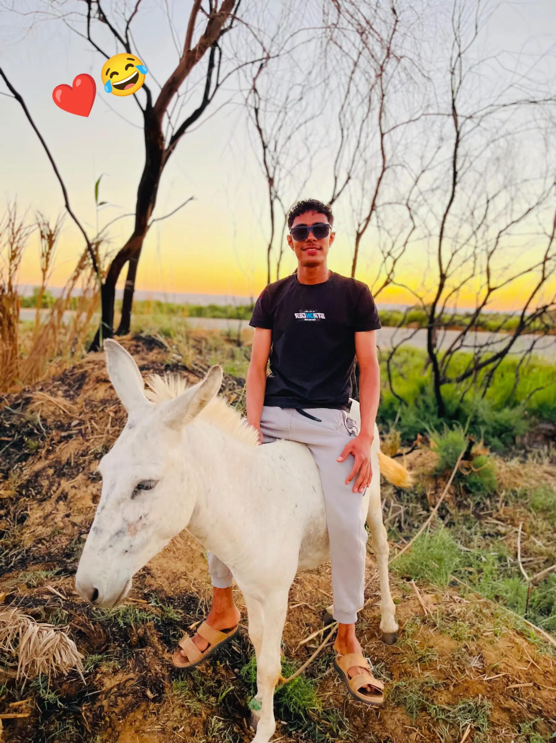 @.♡𝙀𝙡 𝙕𝙊𝙊𝙕🦅🖤☽︎ زَيّـآدُ