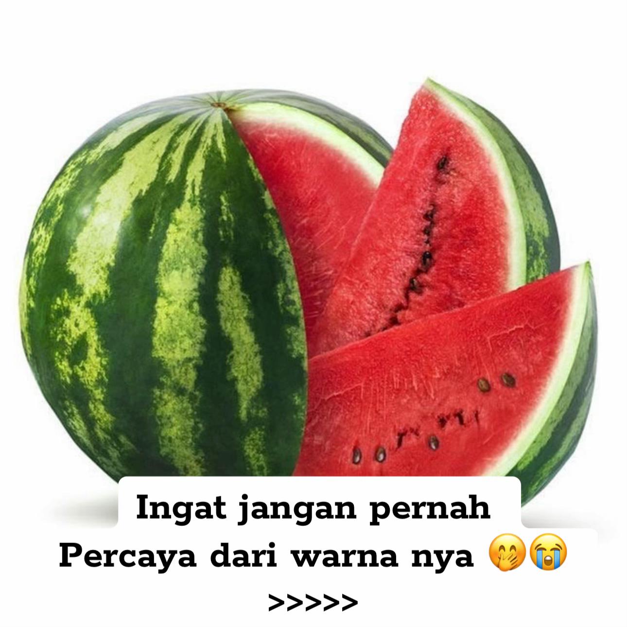 @AKANG COLOK