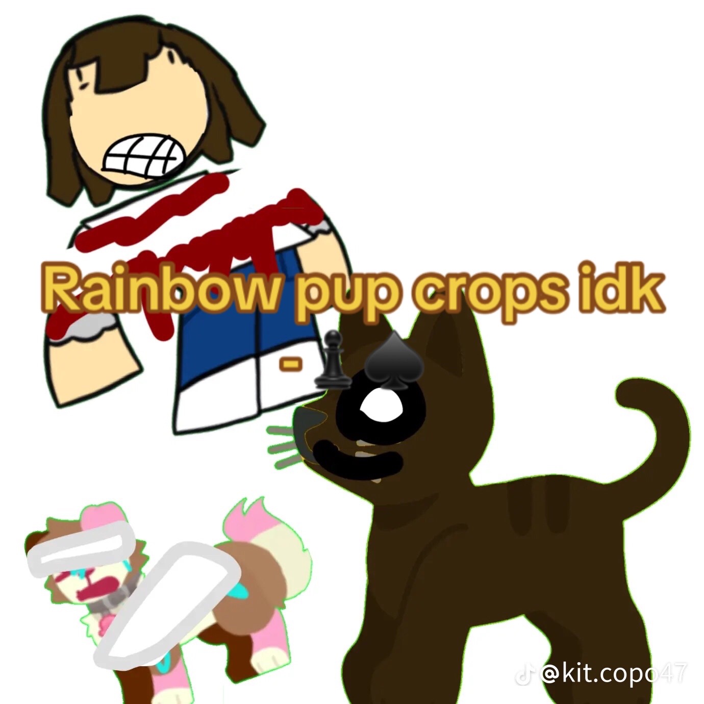 @°ʚ🌈ɾαιɳႦσɯ 𝐩𝐮𝐩 ᥴ᥆ᥣᥣᥲᑲ🐾ɞ°