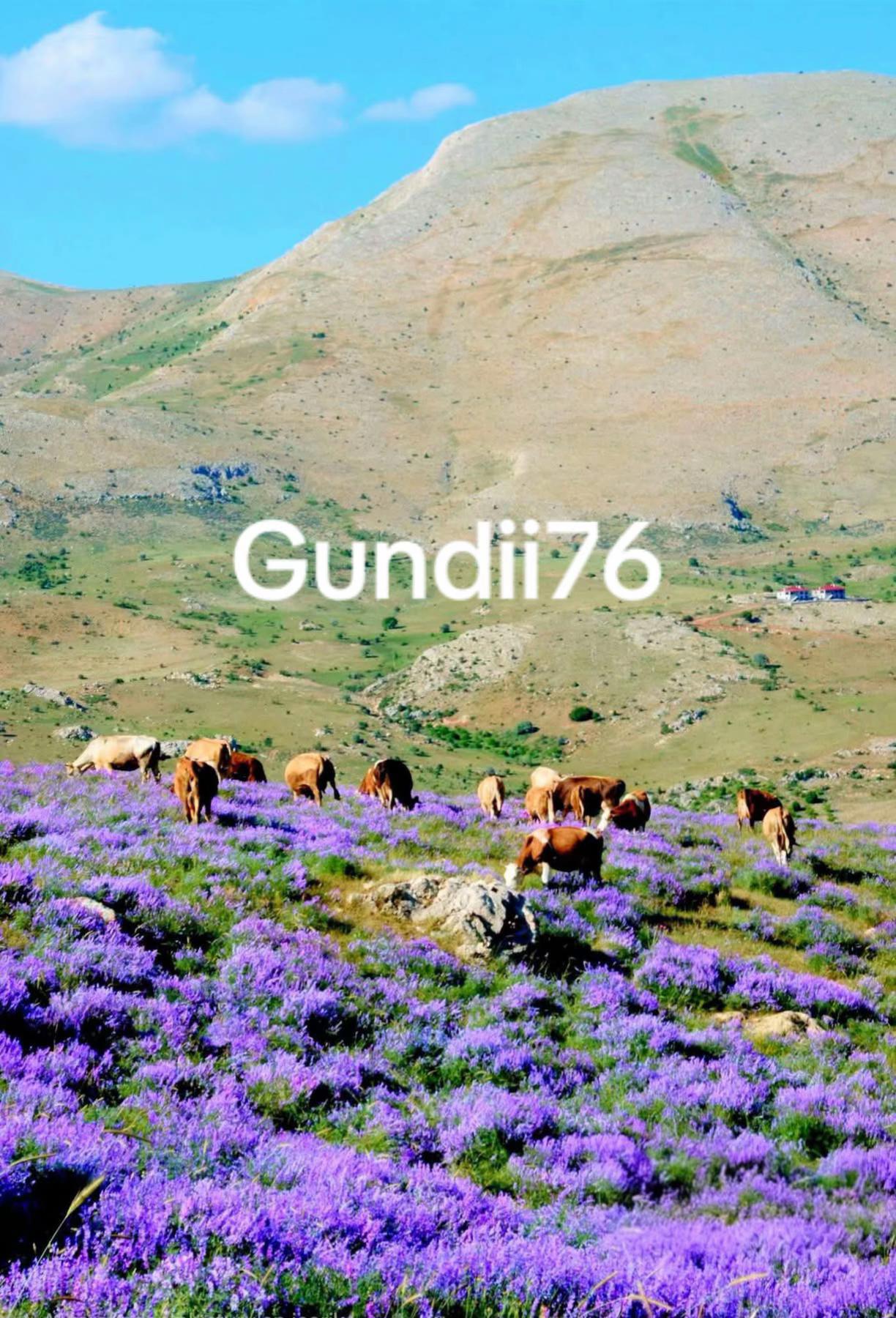 @✌️K&ecirc;&ccedil;&acirc; kurd'a✌️