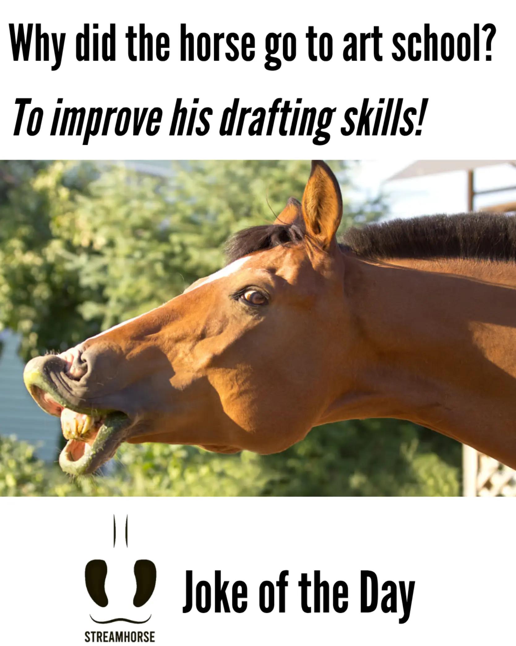 @streamhorse