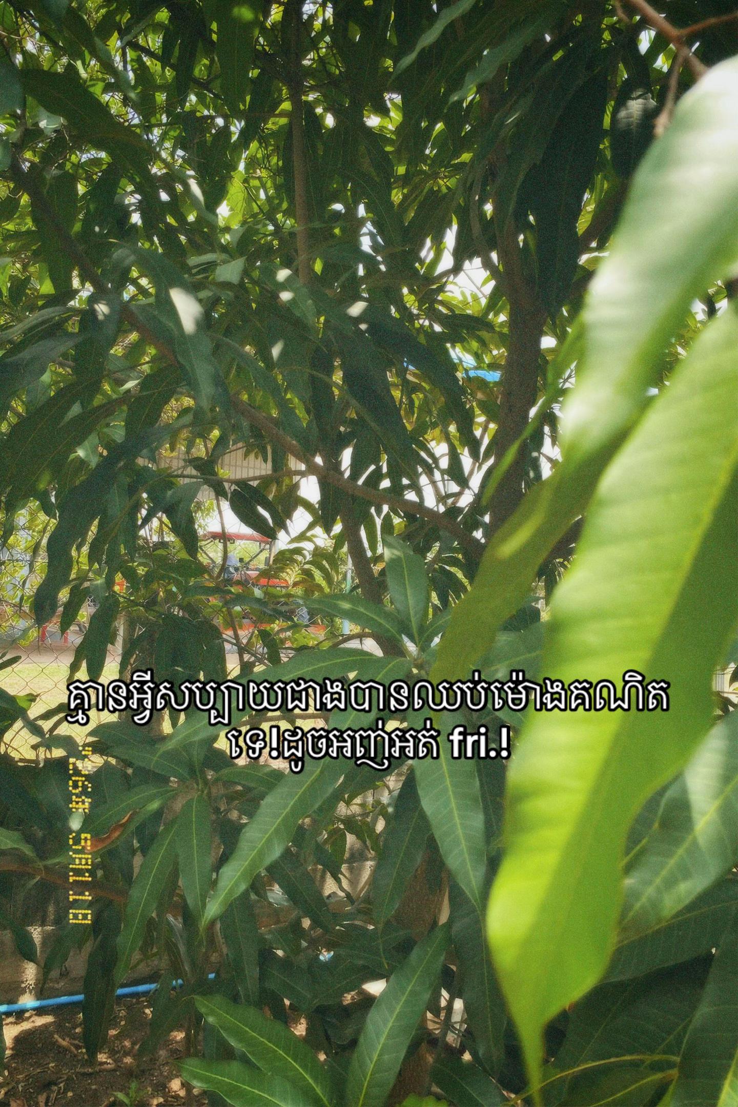 @ZA-แแถ๐ซ