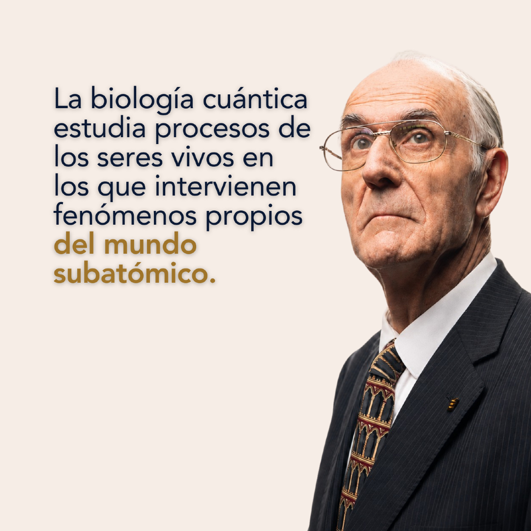 @Dr. Manuel Sans Segarra