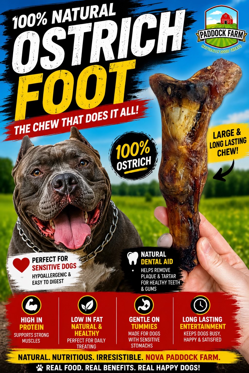 @chowpawsdogtreats