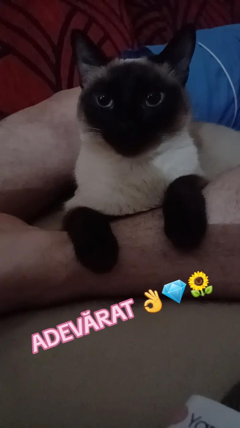@DanielaBalanoiu