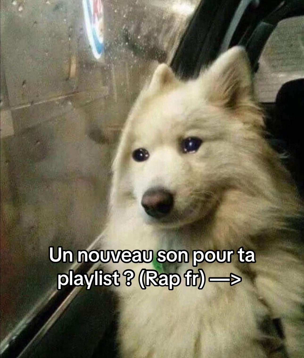 @Mario