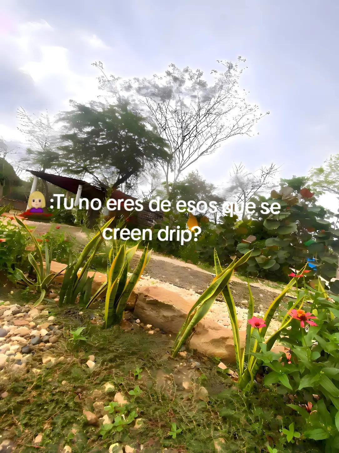 @𝐒𝐭𝐱𝐯𝐞𝐧𝐃𝐫𝐢𝐩𝟐𝟖👼🏼♿