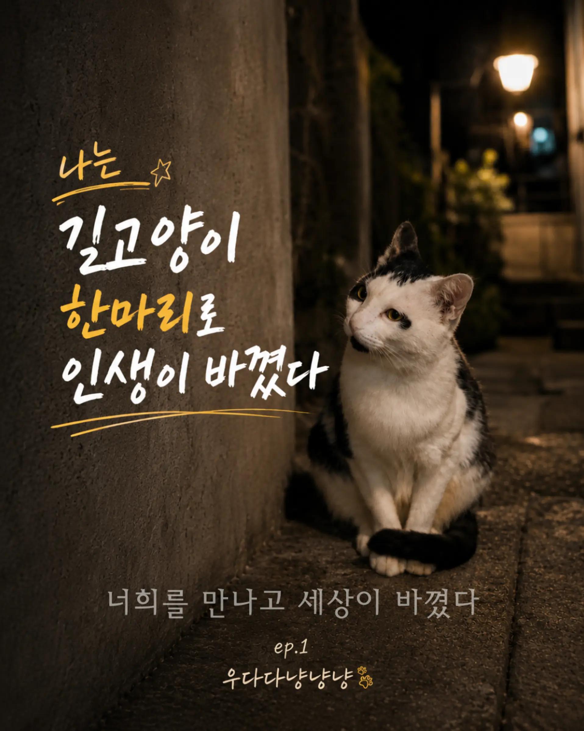 @우다다냥냥냥