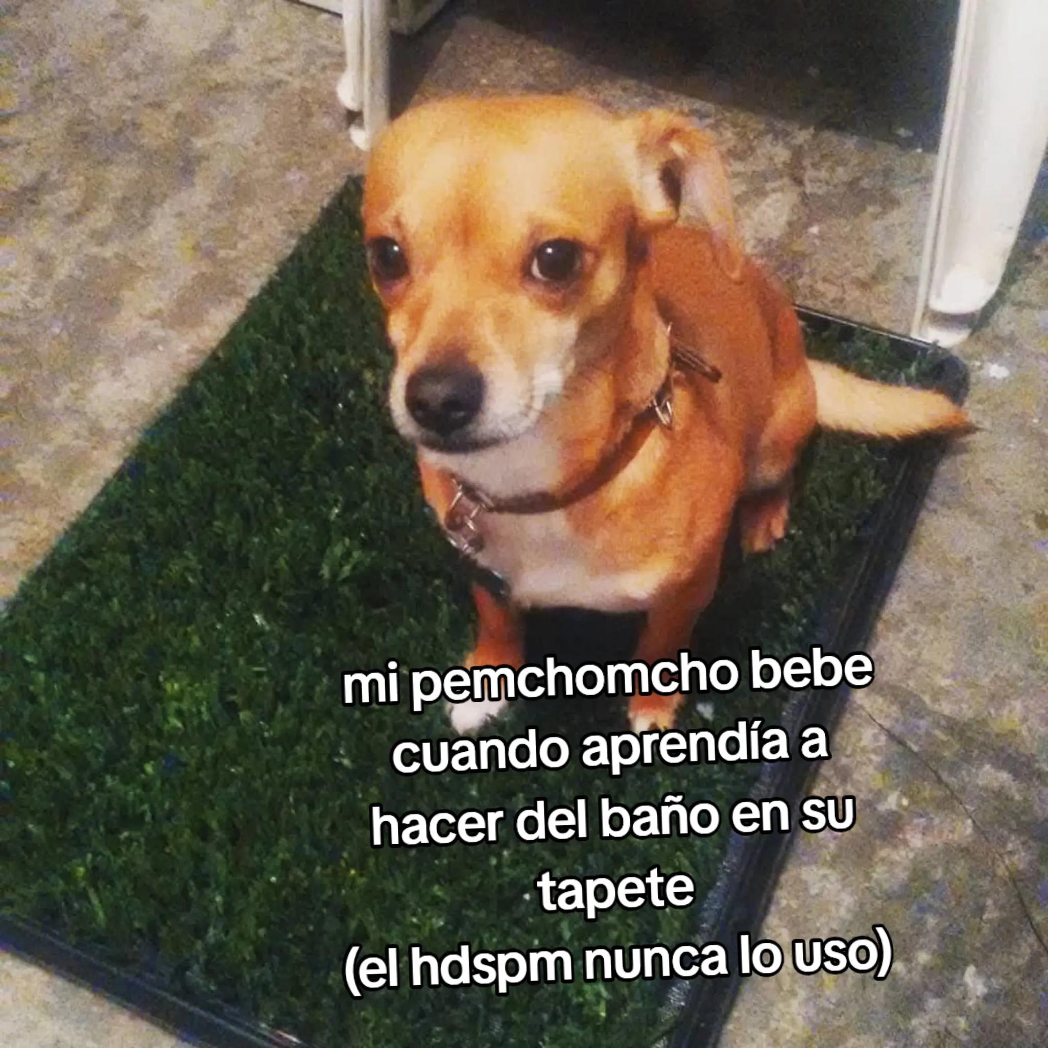 @Capitan Fantom