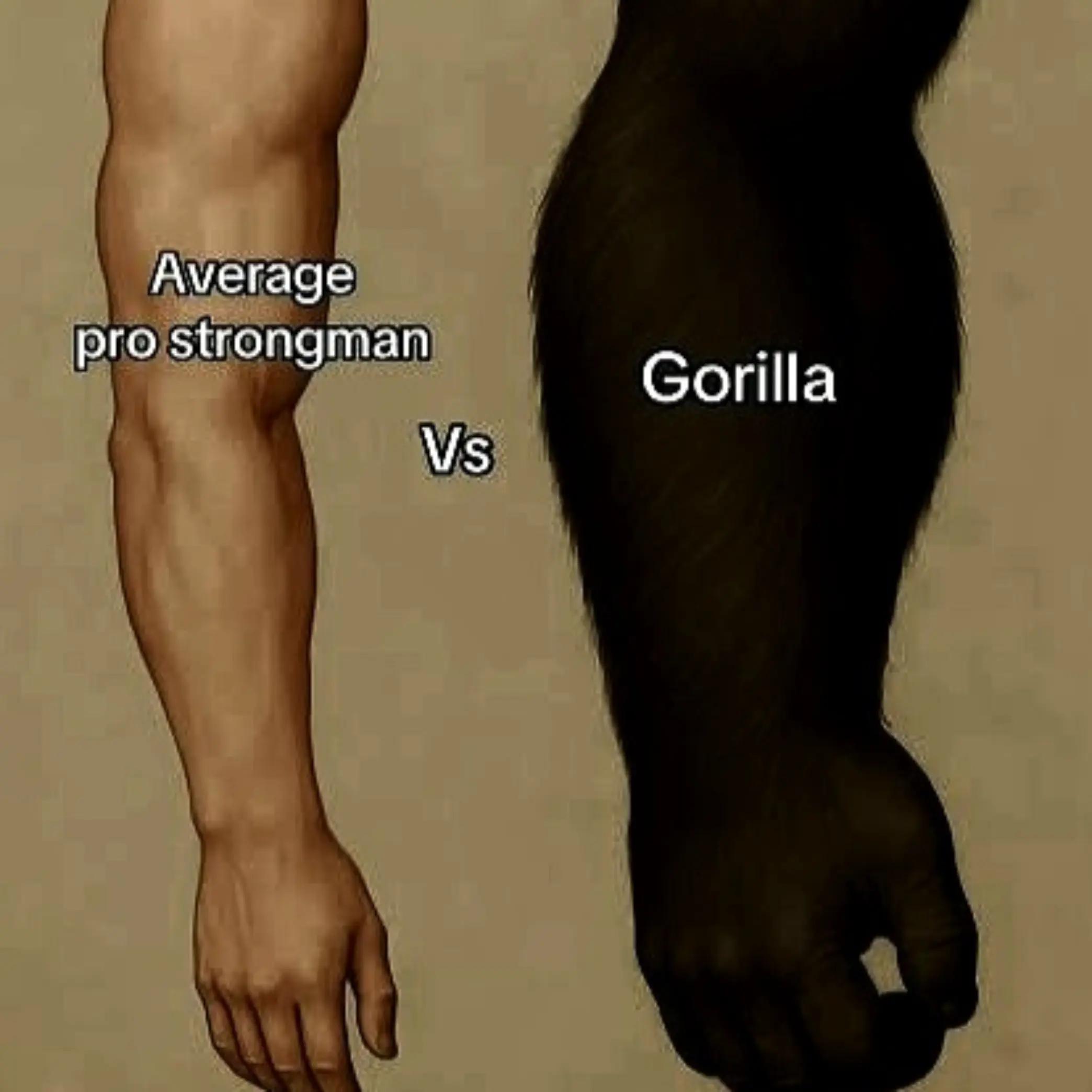 @𝒀𝑼𝑲𝑰