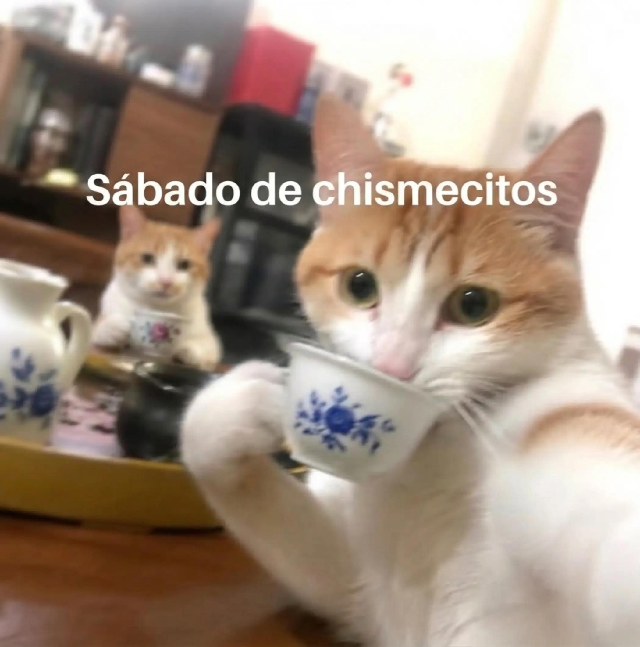 @𝕄𝕚𝕔𝕙𝕚🆂🅰🅳