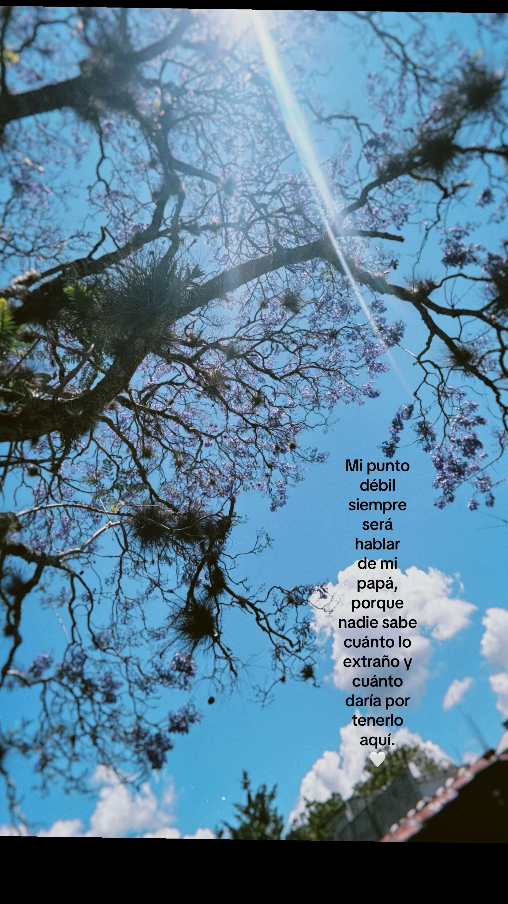 @Hasta el Cielo🤍