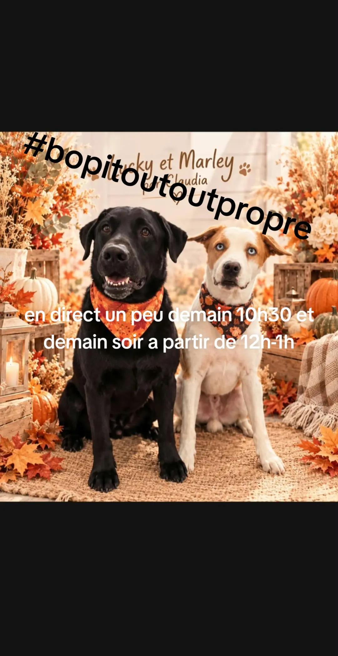 @DENISTHEROUX