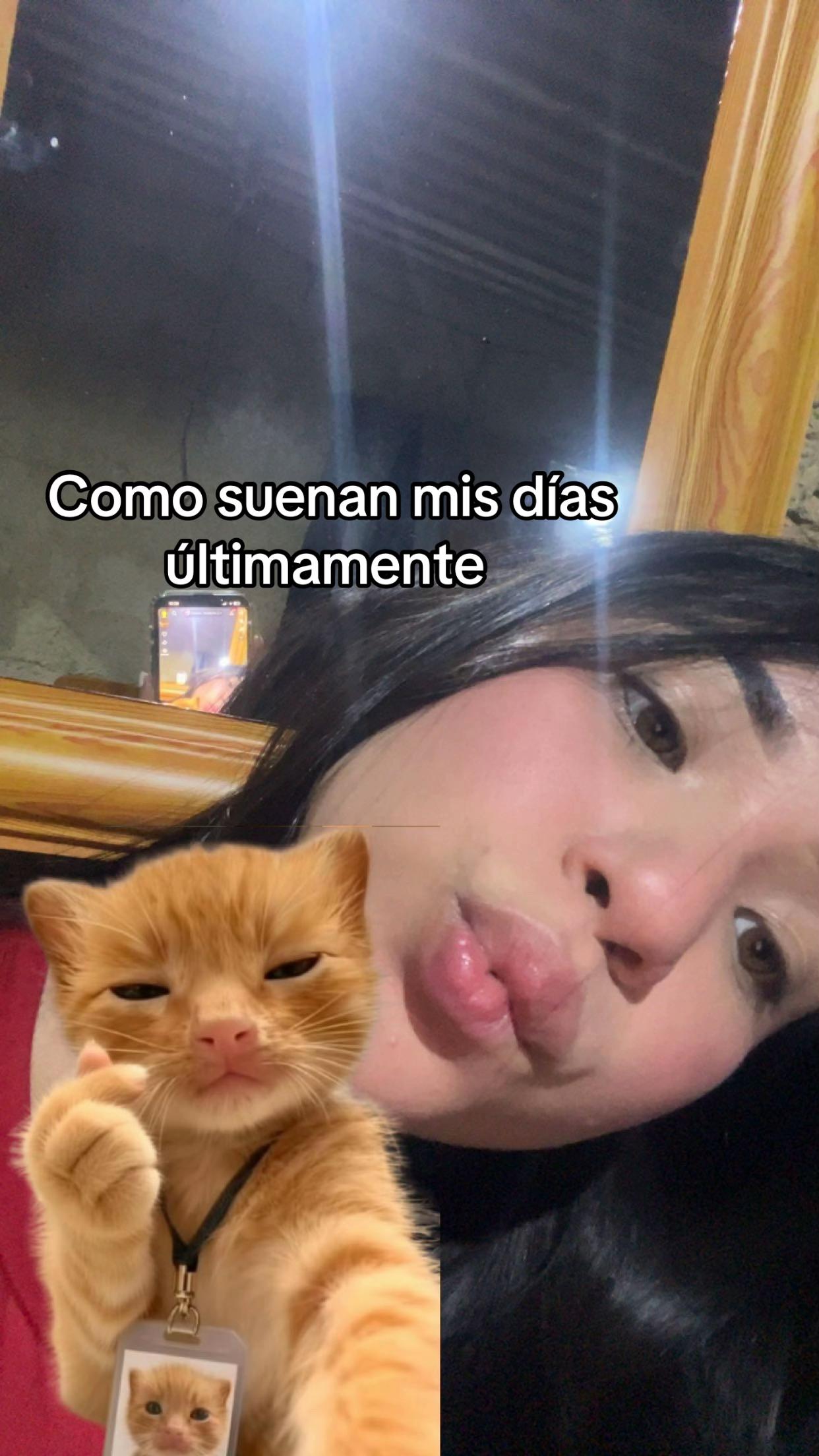 @Dai 🤍